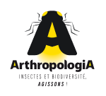 Logo Arthropologia - Association naturaliste pour la connaissance et la protection des insectes et de la biodiversité